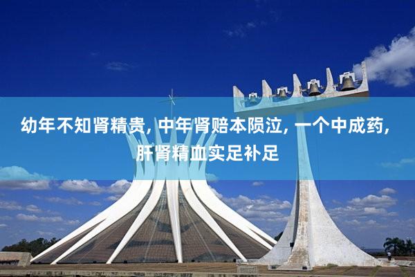 幼年不知肾精贵, 中年肾赔本陨泣, 一个中成药, 肝肾精血实足补足