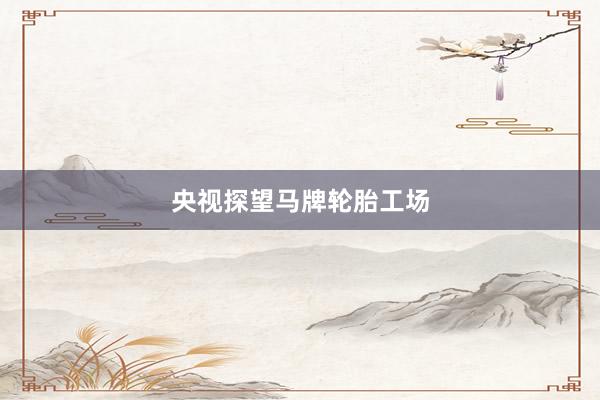 央视探望马牌轮胎工场
